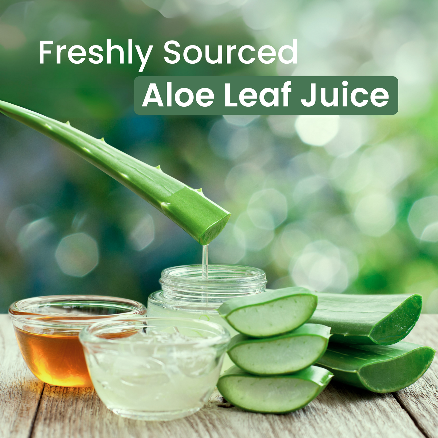 Body Lotion - Aloe Vera